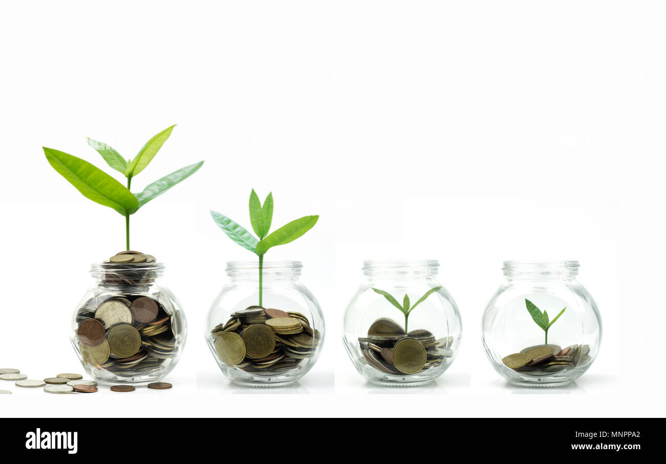 Risparmiare denaro e concetto di investimento, albero e monete che crescono in vetro isolato su sfondo bianco Foto Stock