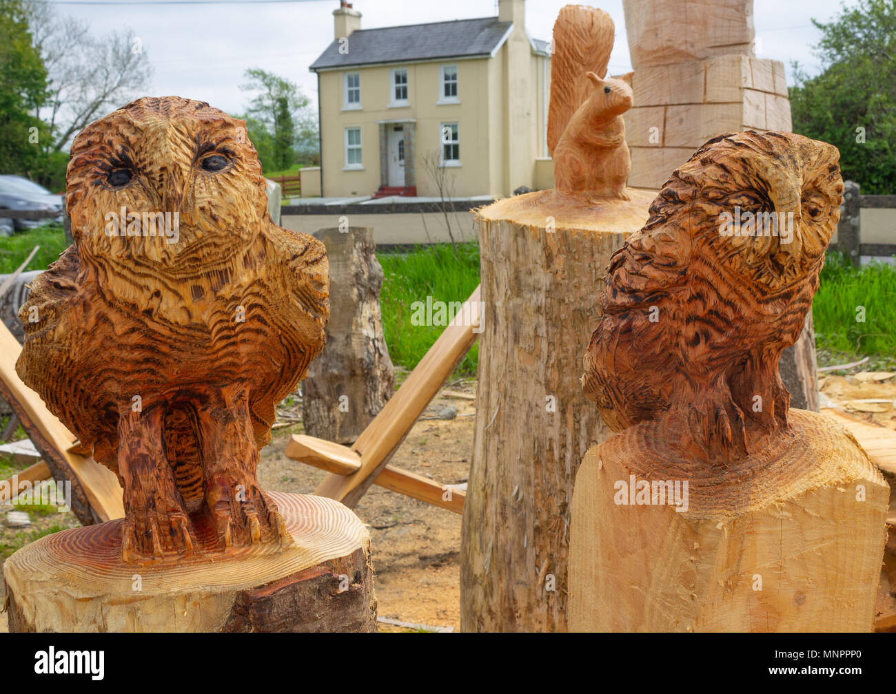 Intaglio del legno di una coppia di gufi tagliati da un solido pezzo di tronco di albero in un intagliatori del legno in cantiere drimoleague, Irlanda. Foto Stock