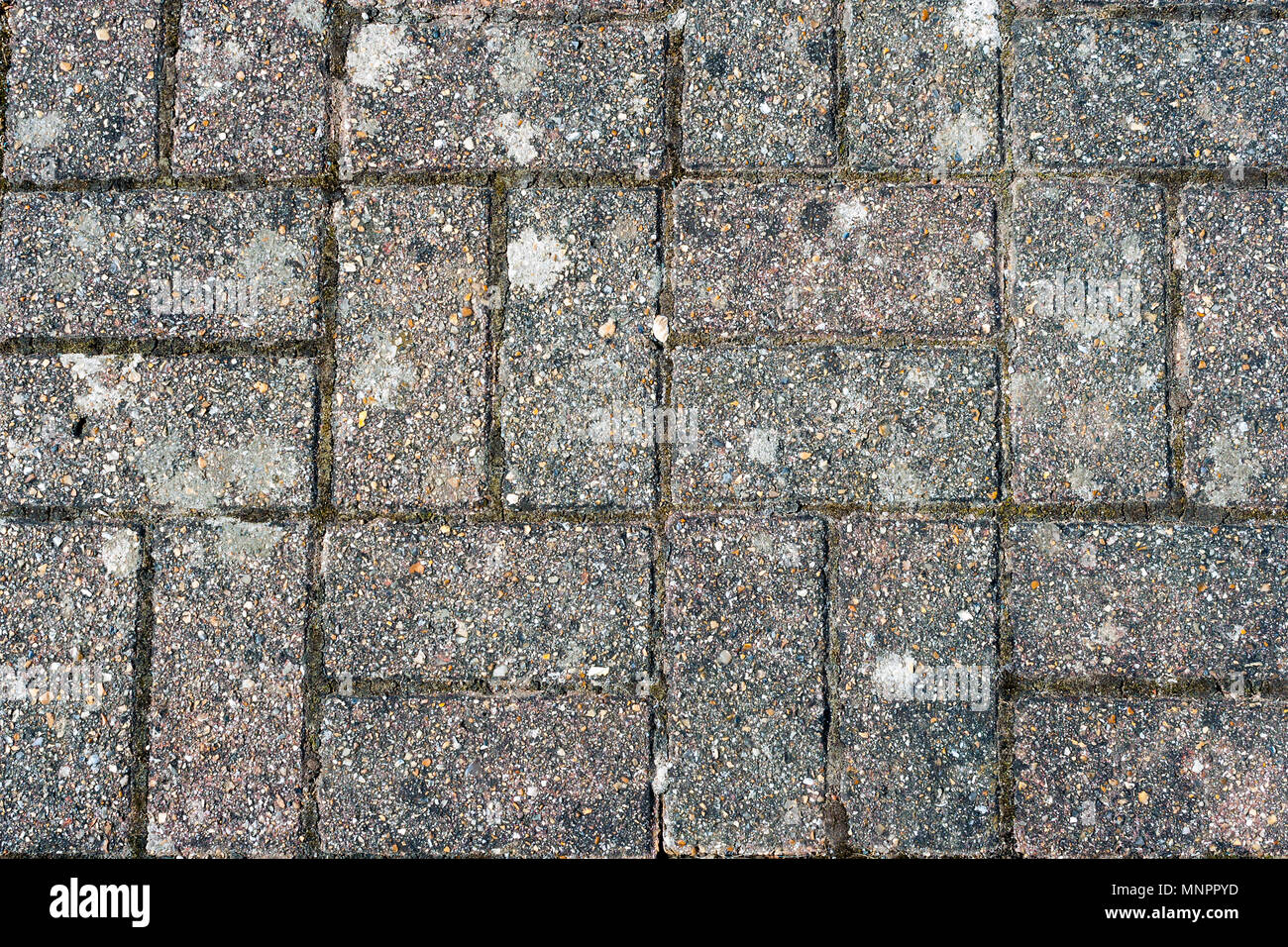 Sporco weathered blocco vialetto pavimentato con moss crescente tra da una prospettiva aerea Foto Stock