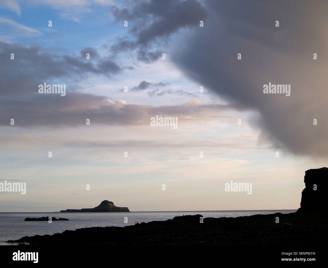 Olandese il cappuccio dalla lunga, Treshnish isles Foto Stock