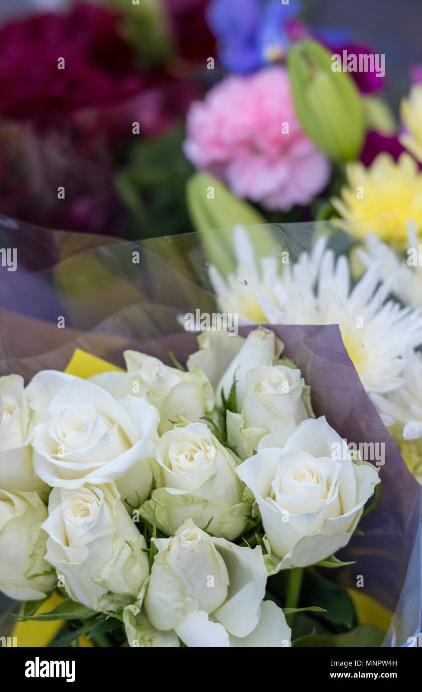 Rose bianche e bellissimo display di fiori freschi in un colorato mercato fioristi stallo. Foto Stock