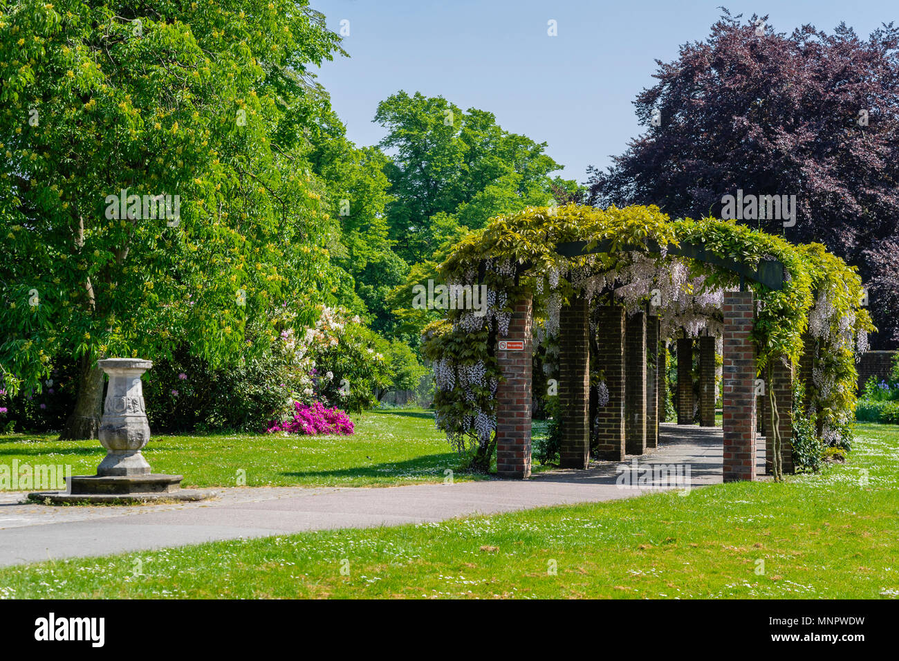 Vista panoramica attraverso Andrews Park (parco est) con la pergola di glicine a destra nel maggio 2018 nel centro città di Southampton, Hampshire, Inghilterra, Regno Unito Foto Stock
