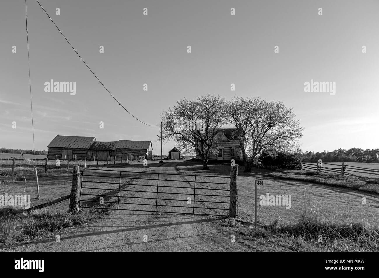 Tradizionale casa di log e le stalle Foto Stock