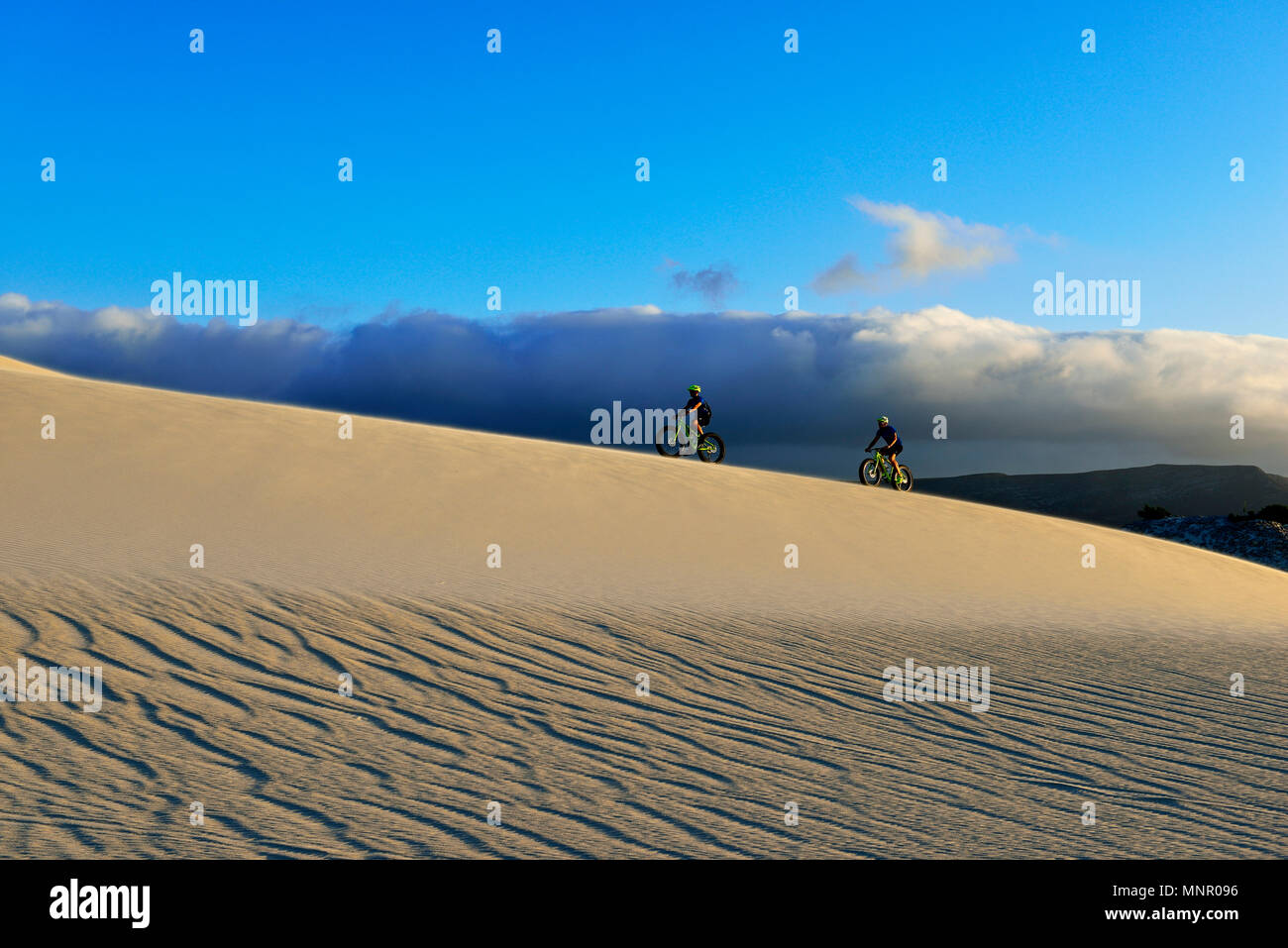 Gita in bicicletta con fatbikes a morire Plaat Beach, riserva, De Kelders, Gansbaai, Western Cape, Sud Africa Foto Stock