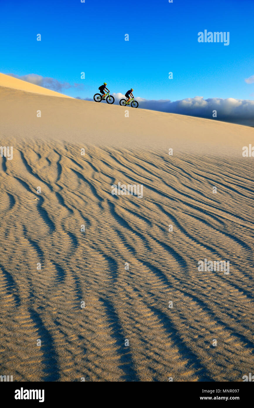 Gita in bicicletta con fatbikes a morire Plaat Beach, riserva, De Kelders, Gansbaai, Western Cape, Sud Africa Foto Stock