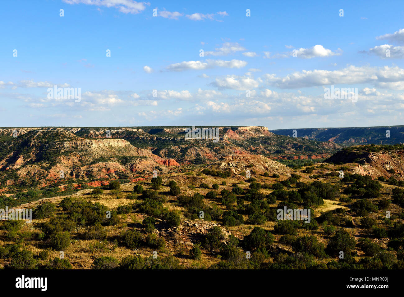 Ampio paesaggio aperto, Palo Duro Canyon State Park, Texas, Stati Uniti d'America Foto Stock