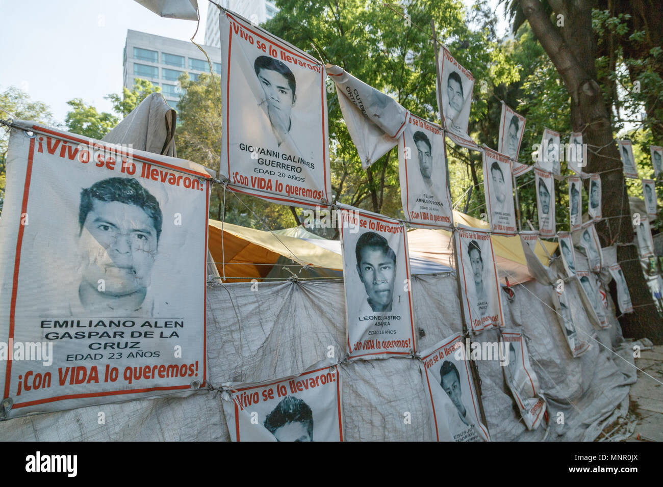 Ritratti di 2014 Iguala studente rapimento display di ioni a effettuare il cambio protestando camp site sul Paseo de Reforma, Città del Messico. Foto Stock
