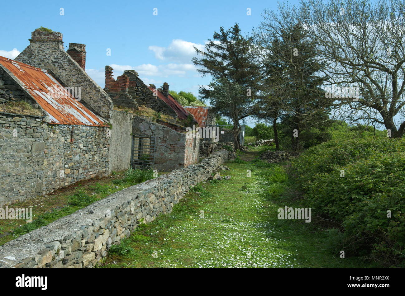 Vecchie case coloniche abbandonate sulla isola di Scattery Foto Stock