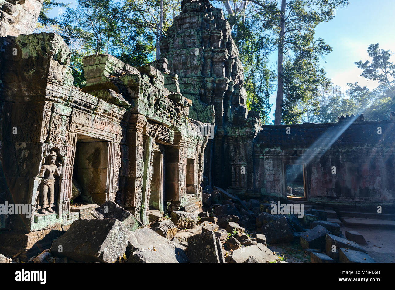 Angkor Wat jungle tempio in Siem Reap in Cambogia Foto Stock