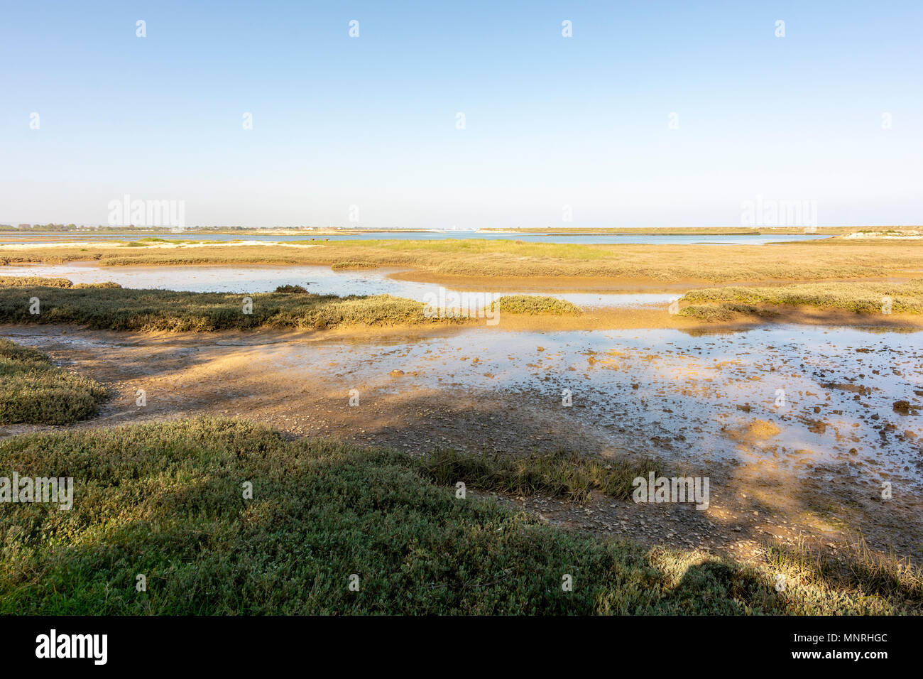 Il lato ovest del porto Pagham Riserva Naturale, West Sussex, Regno Unito. Foto Stock Il lato ovest del porto Pagham Riserva Naturale, West Sussex, Regno Unito. Foto Stock