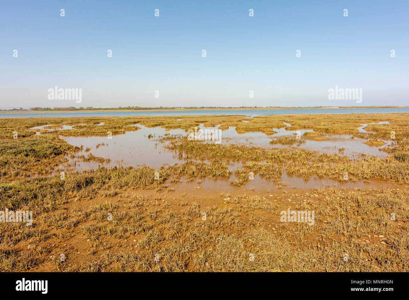 Il lato ovest del porto Pagham Riserva Naturale, West Sussex, Regno Unito. Foto Stock Il lato ovest del porto Pagham Riserva Naturale, West Sussex, Regno Unito. Foto Stock