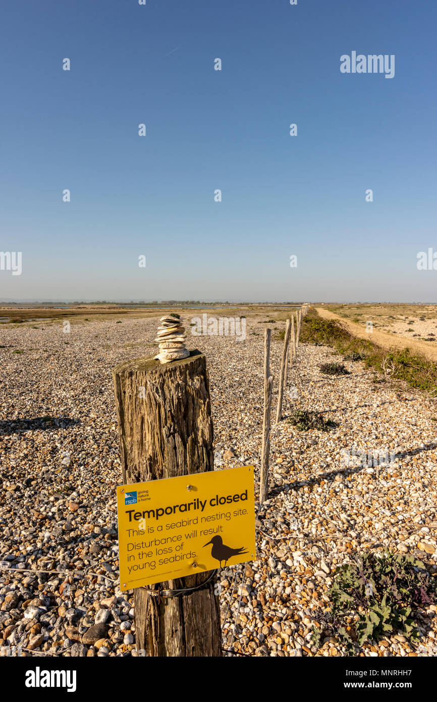 Il lato ovest del porto Pagham Riserva Naturale, West Sussex, Regno Unito. Foto Stock Il lato ovest del porto Pagham Riserva Naturale, West Sussex, Regno Unito. Foto Stock