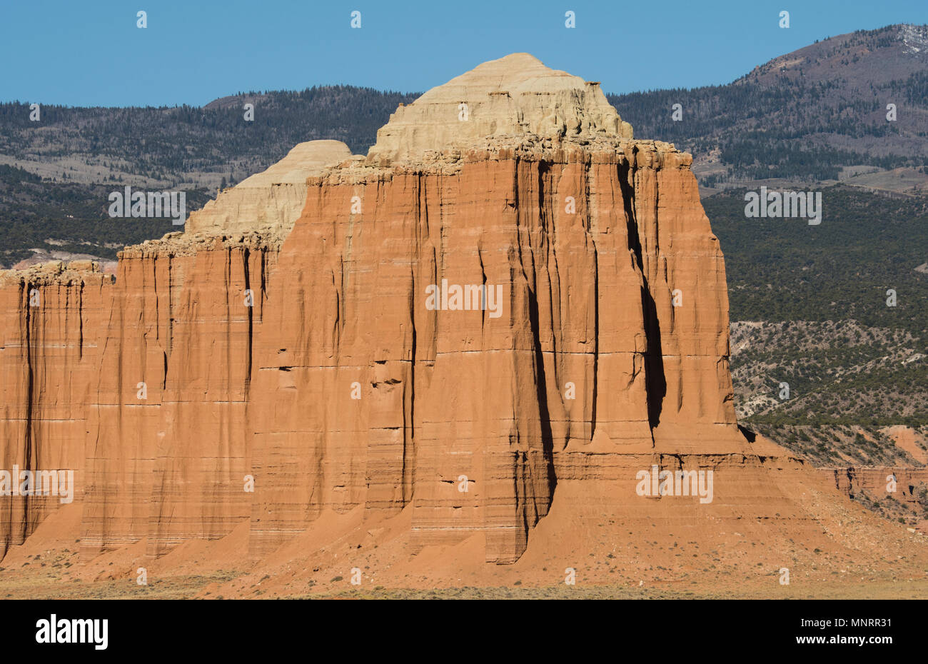 Torta di Nozze Bluff, Cattedrale Valley, Capitol Reef National Park nello Utah Foto Stock