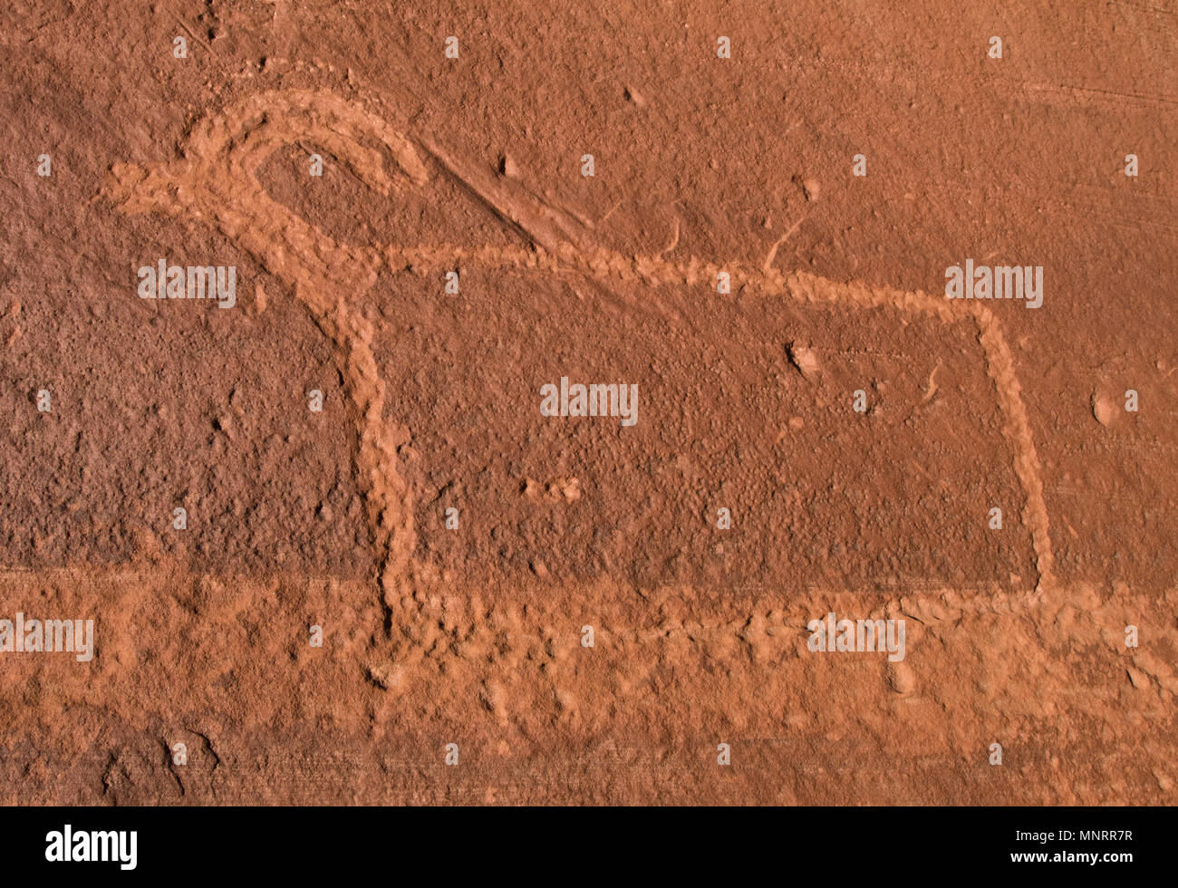 Petroglifi Bighorn, Fremont River Canyon, Capitol Reef National Park nello Utah Foto Stock