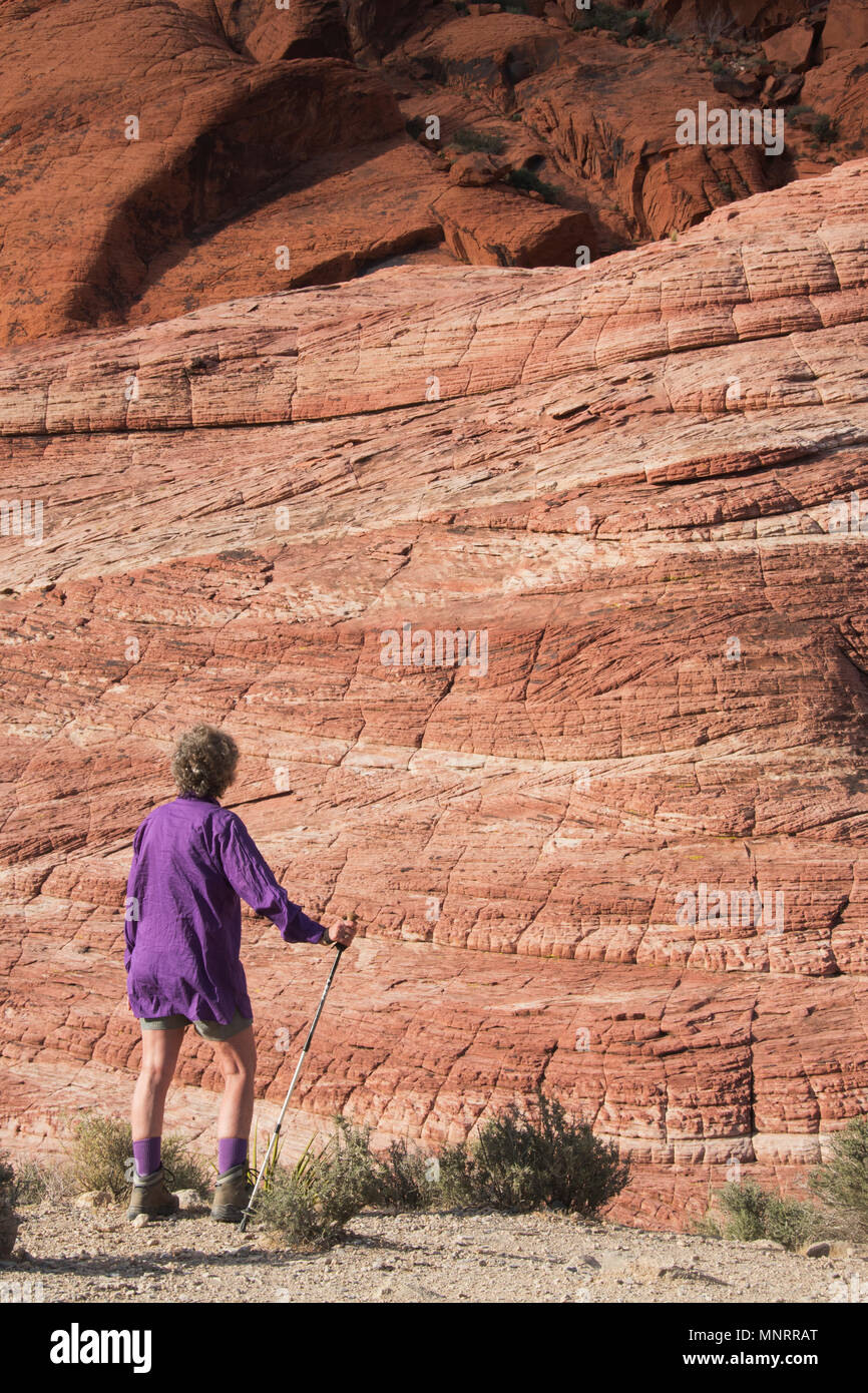 Escursionista e cross-bedded arenaria, calicò colline, il Red Rock Canyon National Conservation Area, Las Vegas, Nevada Foto Stock