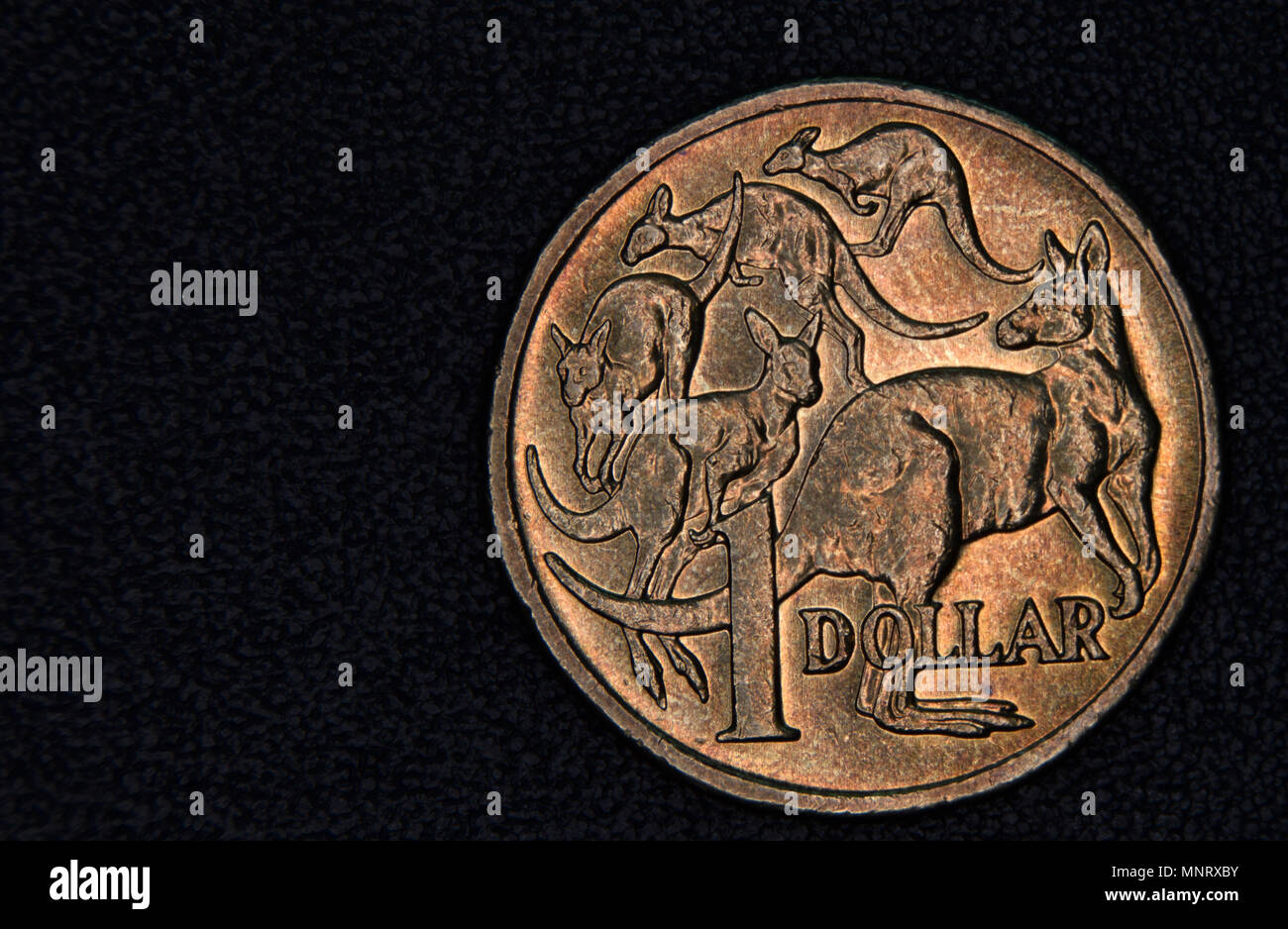 Primo piano di un australiano 1 dollaro moneta su uno sfondo scuro. Foto Stock