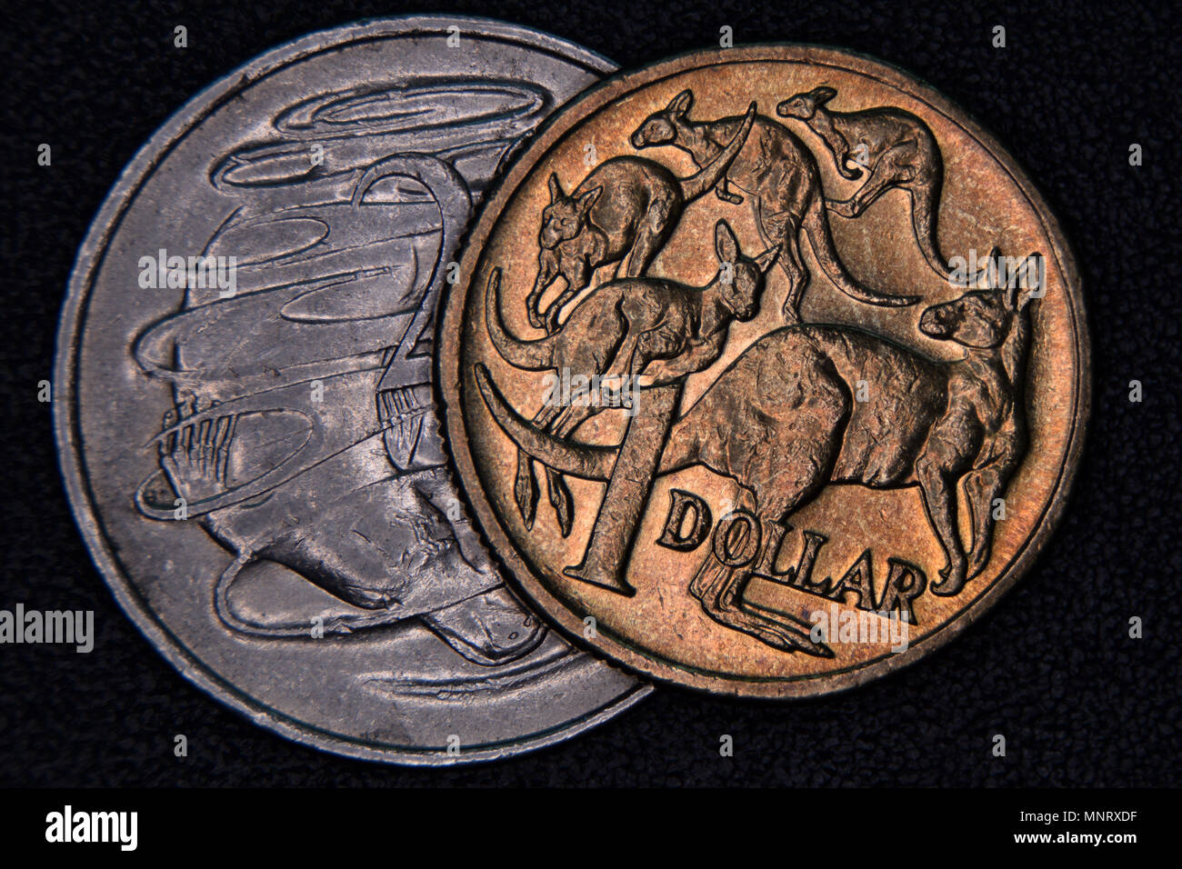 Primo piano di un australiano 1 dollaro e 20 centesimi su uno sfondo scuro. Foto Stock