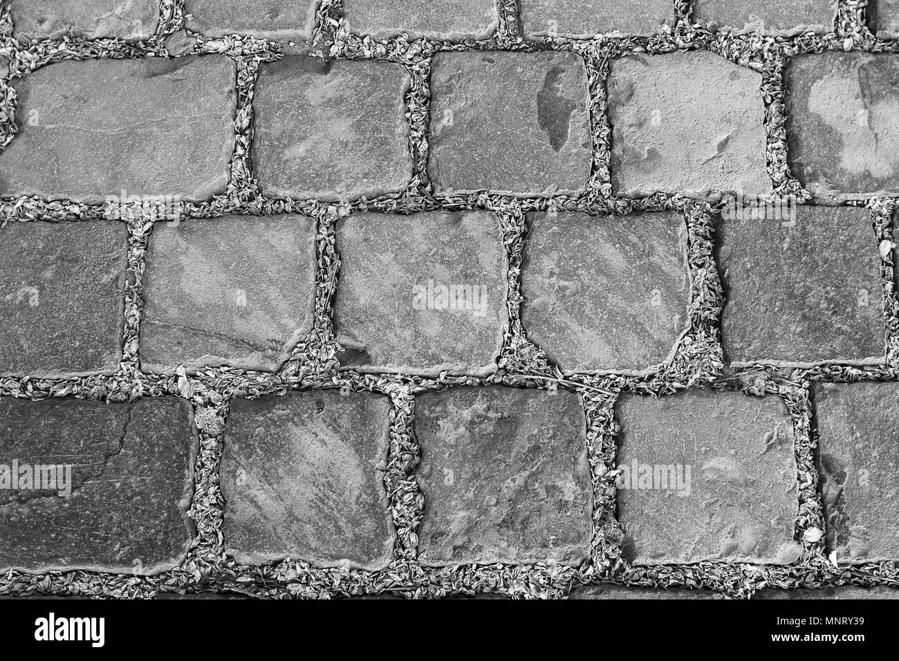 Pietra di sfondo sul marciapiede o texture in bianco nero Foto Stock
