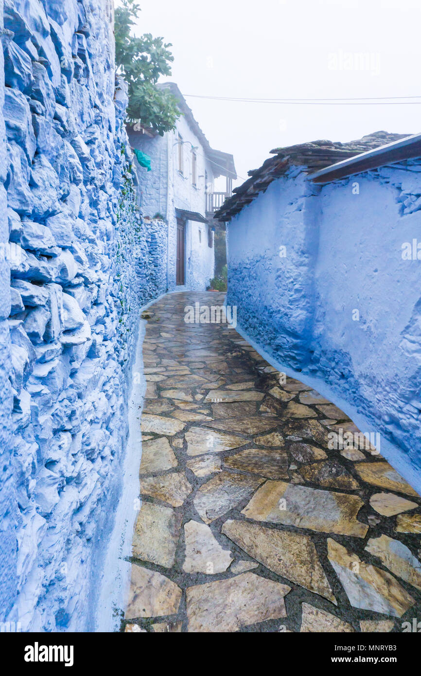 Inverno foggy scenario in villaggio Kastanitsa in Arcadia Grecia. Si tratta di un insediamento tradizionale e si fa notare per la sua produzione di castagne Foto Stock