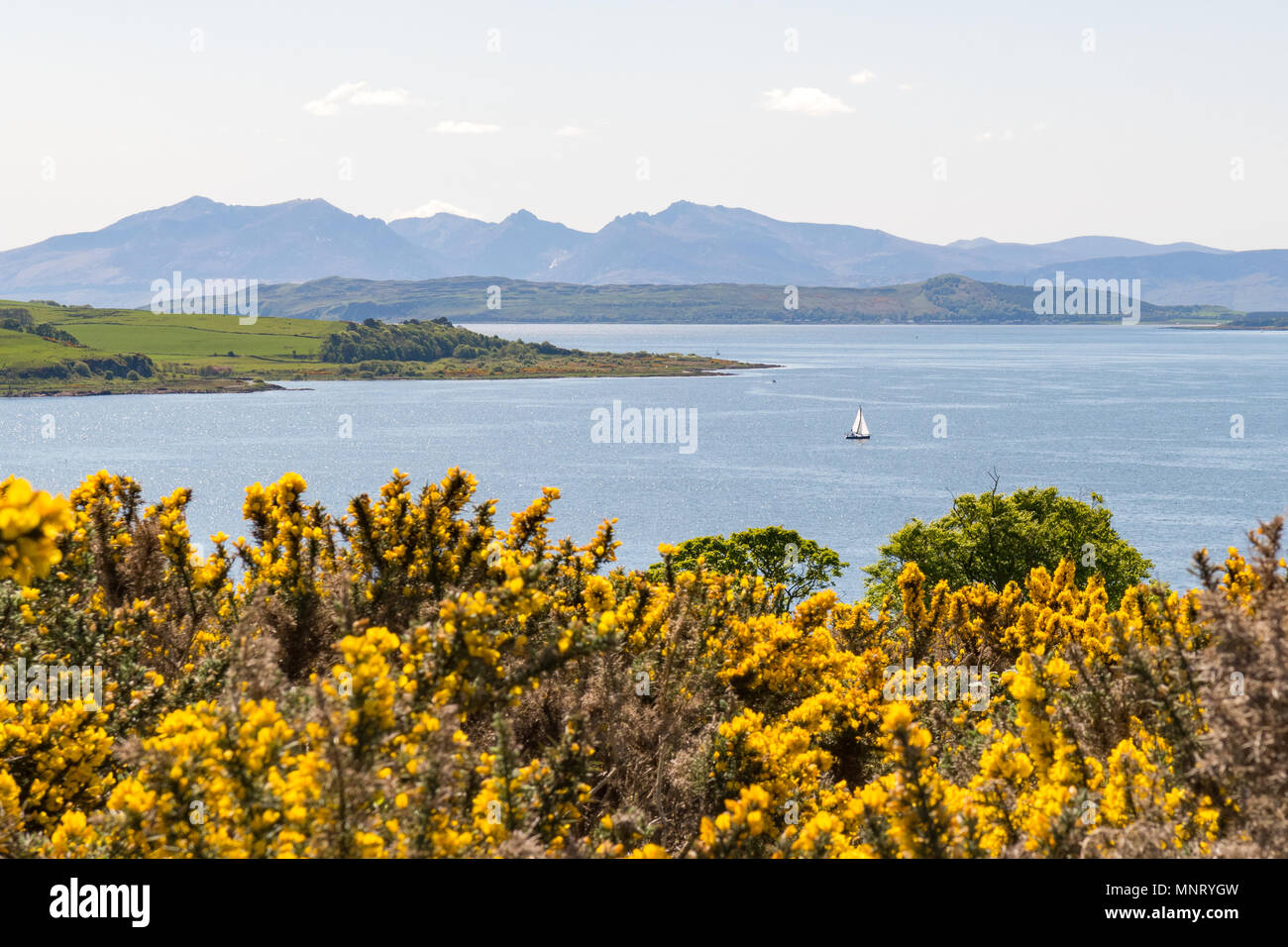 Vista della grande Cumbrae, Bute e l'isola di Arran attraverso il Firth of Clyde da Largs, North Ayrshire, in Scozia, Regno Unito Foto Stock
