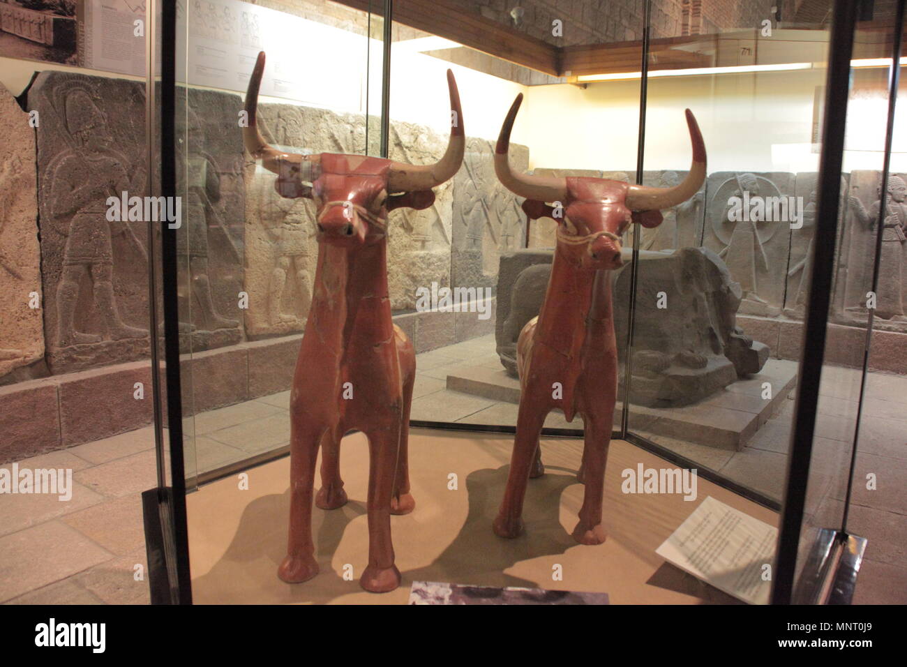 Hittita long horn bull sculture, da Alaca Corum, 1400 BCE Museo della Civiltà anatolica, Ankara, Turchia Foto Stock