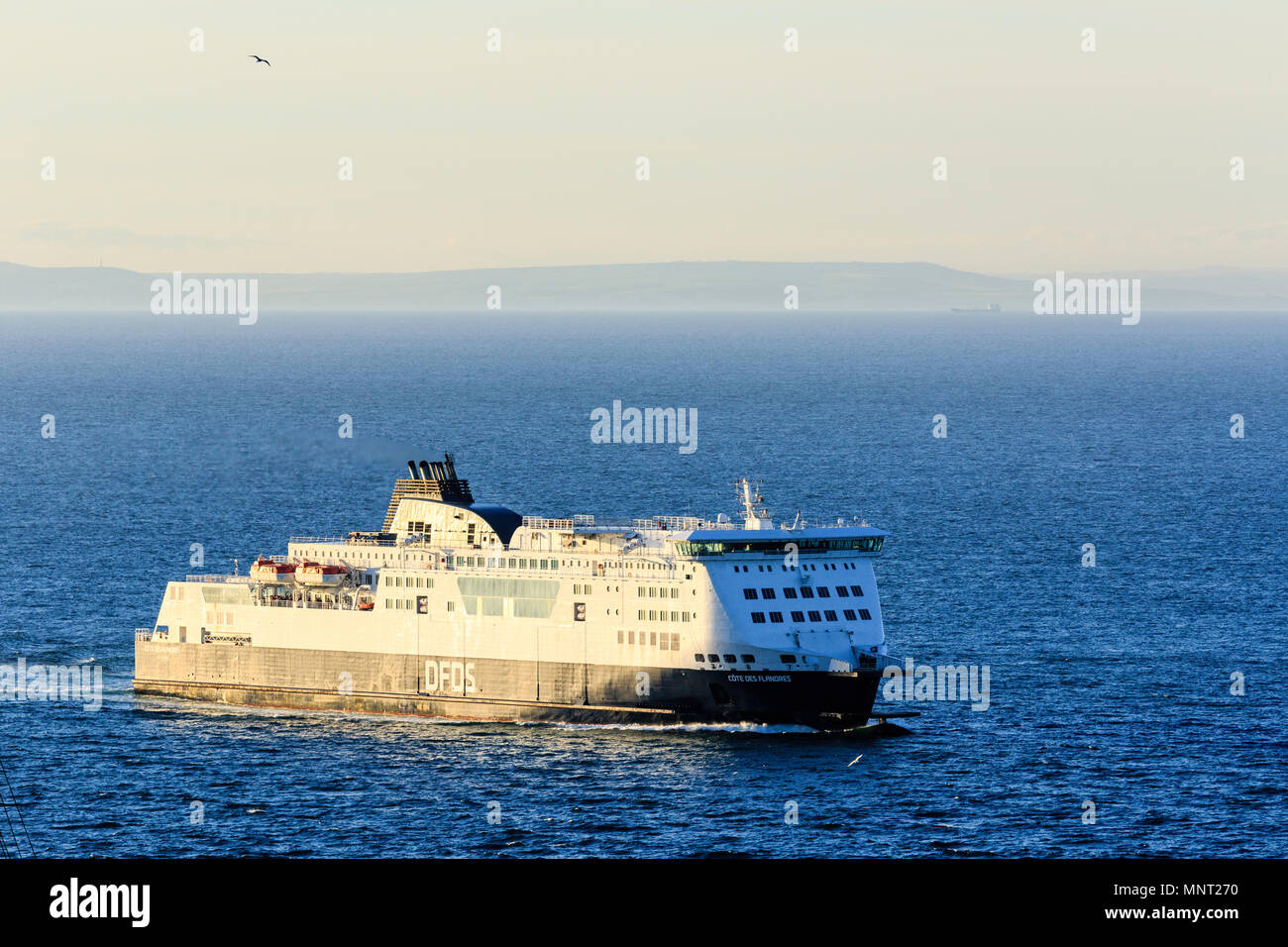 Inghilterra, Dover Harbour. DFDS "Cote des Flandres' traghetto per auto a vela attraverso il canale inglese. Costa francese in background. All'alba. Foto Stock