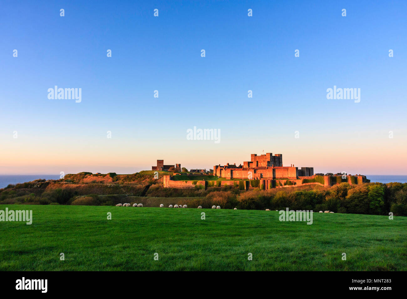 Vista in lontananza il castello di Dover con pareti esterna ed interna poco dopo l'alba durante l ora d'oro. Cielo Blu dietro. Foto Stock