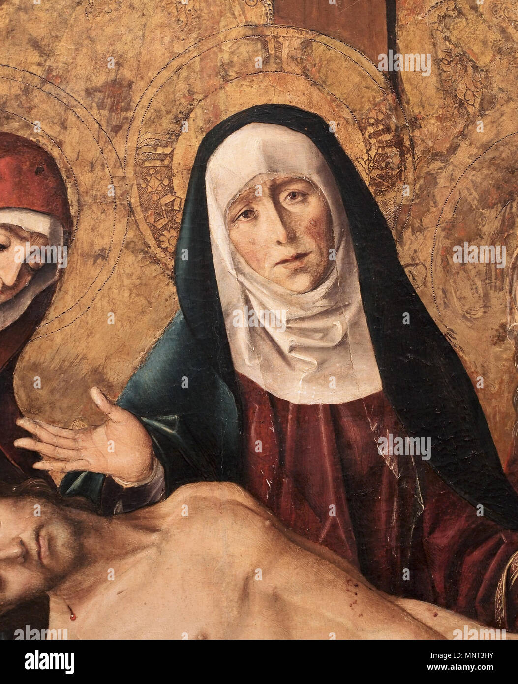 Piedad . Español: Detalle del Cuadro de la Piedad, que es una pintura al temple sobre tabella ejecutada por Pedro Berruguete hacia el año 1480 expuesta y en el Museo Nacional de Escultura de Valladolid inglese: Pietá, tempera su legno verniciatura, esposta nel Museo Nacional de Escultura de Valladolid, in Valladolid (Spagna) Français : Piété, peinture à la détrempe en bois, exposée à le Museo Nacional de Escultura de Valladolid, à Valladolid (l'Espagne) . circa 1480. 970 Pedro Berruguete - Piedad - MNE 20140705-2 Foto Stock
