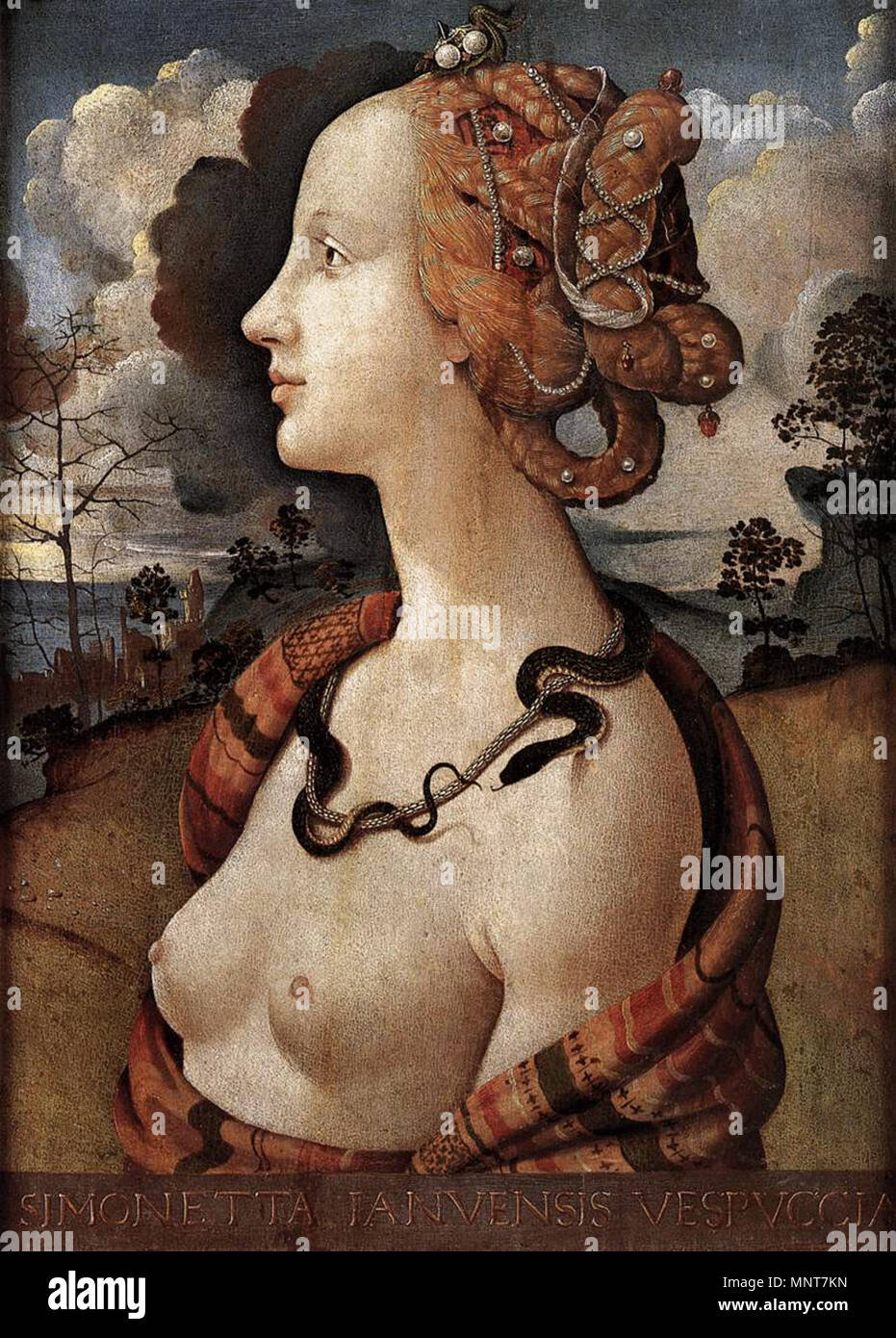 Ritratto di Simonetta Vespucci circa 1480. 986 di Piero di Cosimo - ritratto di Simonetta Vespucci - WGA17670 Foto Stock