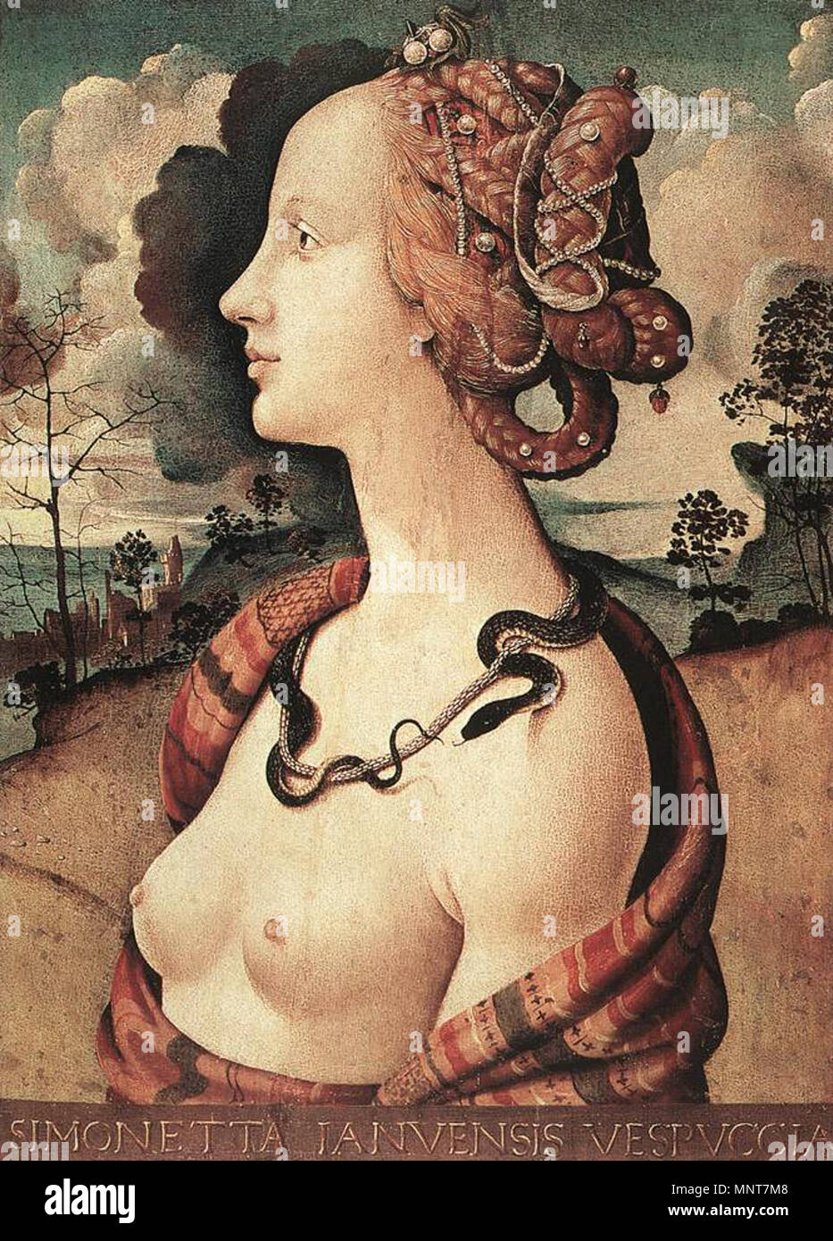 Ritratto di Simonetta Vespucci . Inglese: ritratto di Simonetta Vespucci da Piero di Cosimo (c.1480) olio su pannello, 57 x 42 cm Musée Condé, Chantilly Fonte: http://gallery.euroweb.hu/html/p/piero/cosimo/z altri/vespucci.html . 13 agosto 2004 (originale data di caricamento). 986 di Piero di Cosimo Simonetta Foto Stock