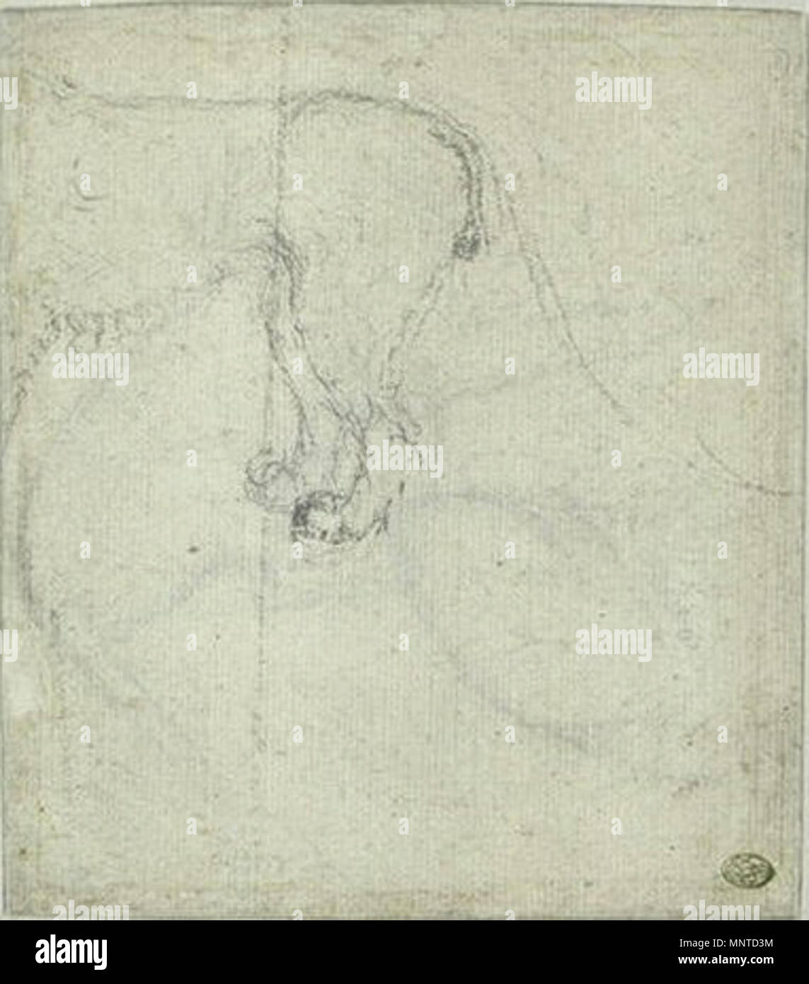 Français : étude de Lion del XV secolo. 1005 Pisanello - Codex Vallardi 2384 V Foto Stock