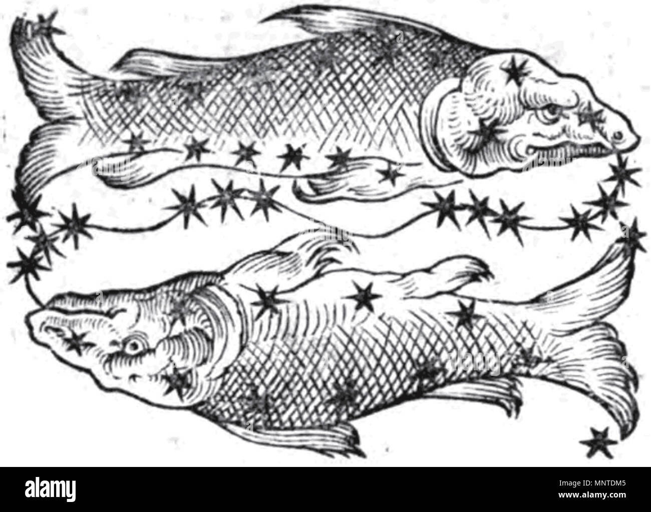 . Inglese: pesci I pesci, da Guido Bonatti Liber Astronomiae . Il 17 dicembre 2011. Nicolaus Pruknerus, Guido Bonatti 1007 pesci-bonatti Foto Stock