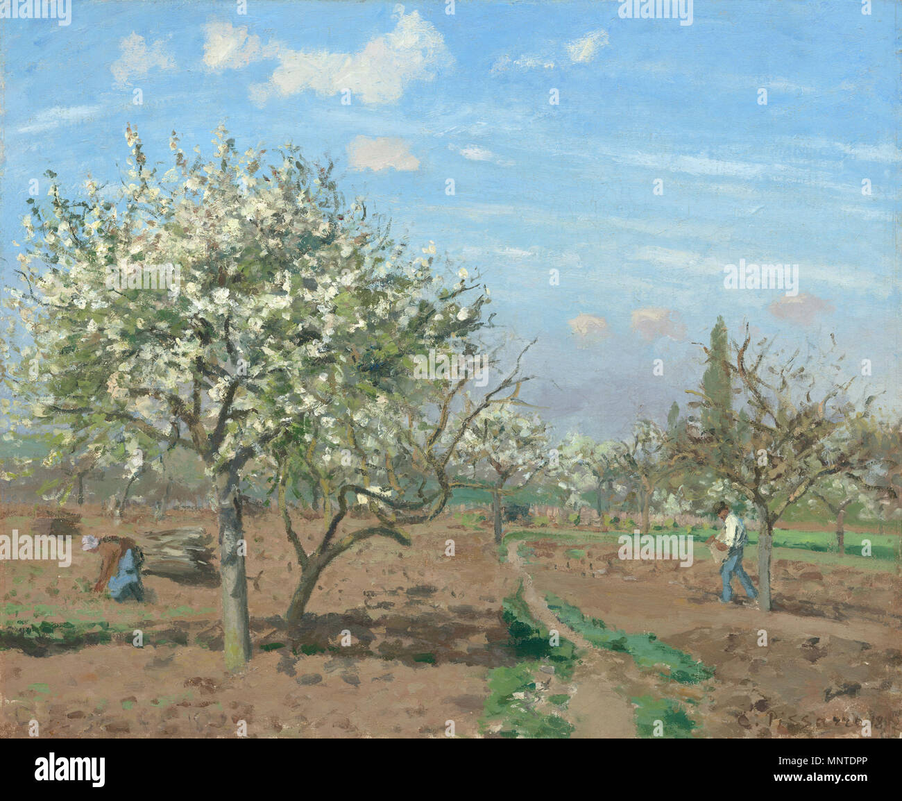 Pittura; olio su tela; complessivo: 45,1 x 54,9 cm (17 3/4 x 21 5/8 in.) incorniciato: 70,8 x 80,6 x 5,7 cm (27 7/8 x 31 3/4 x 2 1/4 in.); frutteti in fiore, Louveciennes 1872. 1007 Camille Pissarro, Le Verger (Il frutteto), 1872 Foto Stock