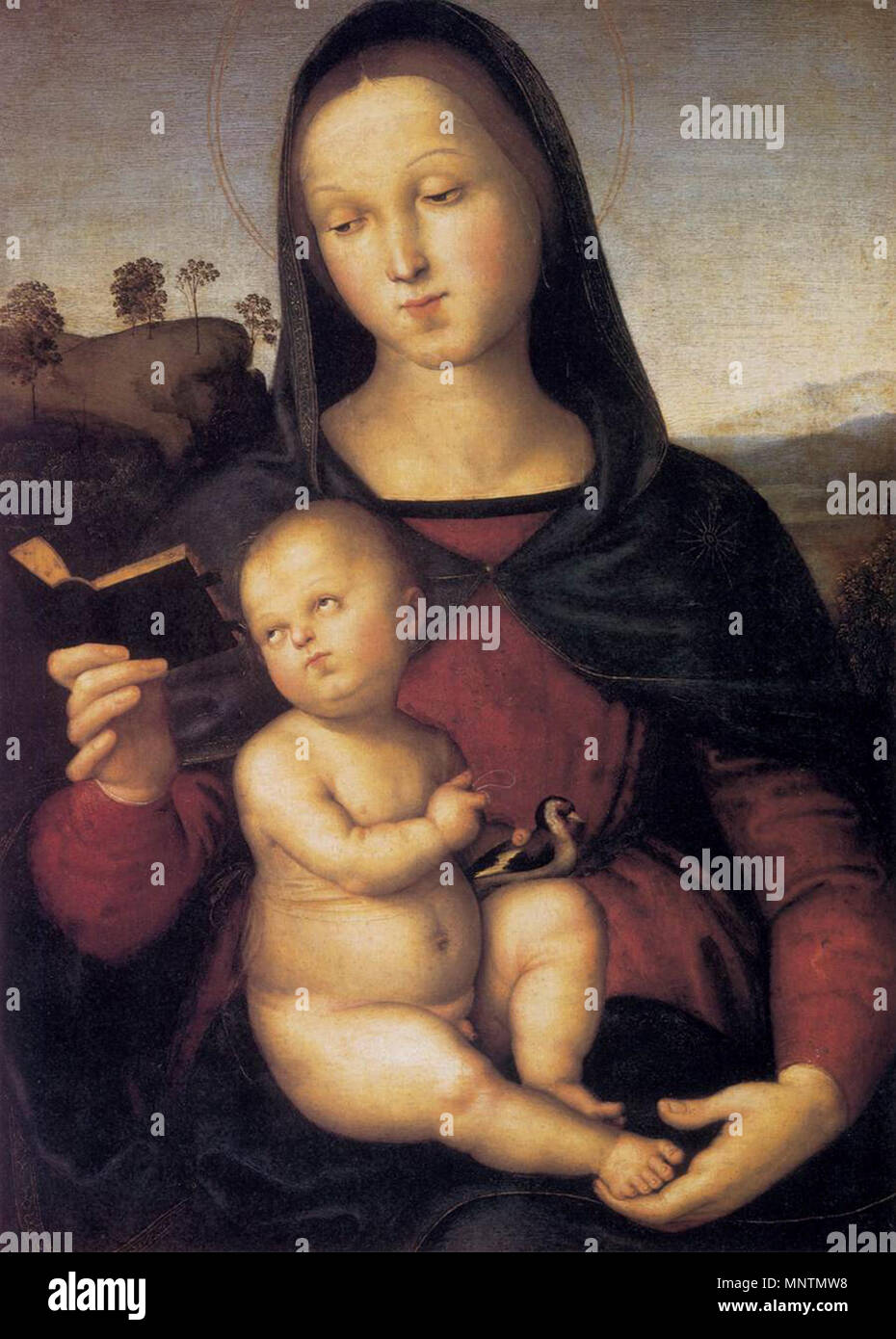 Madonna Solly circa 1502. 1038 Raffaello Sanzio - Madonna Solly - WGA18607 Foto Stock