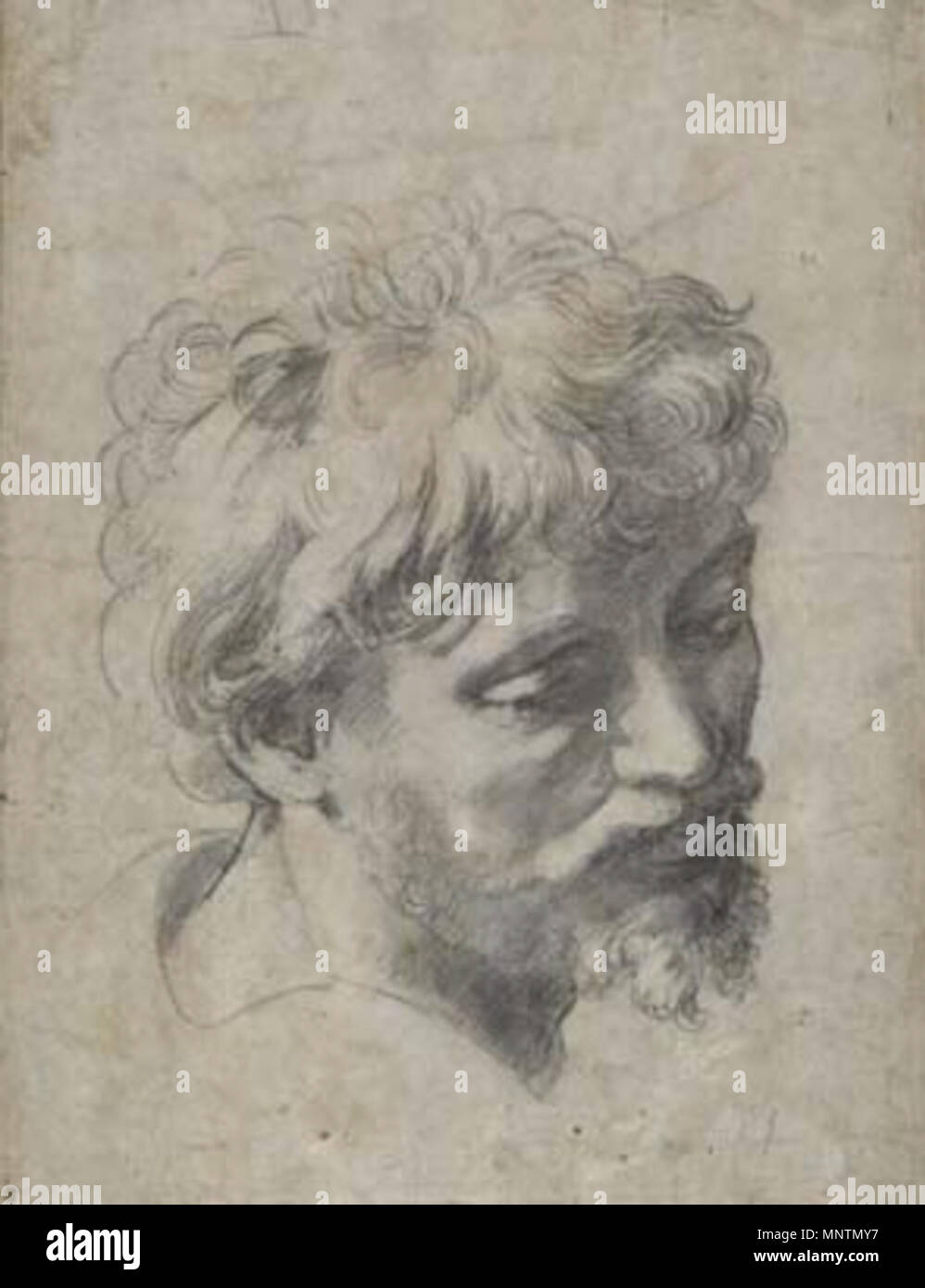 . La testa di un giovane apostolo . circa 1519. 1038 Raffaello Sanzio, - cartoon per la testa di un giovane apostolo, c.1519-20 Foto Stock