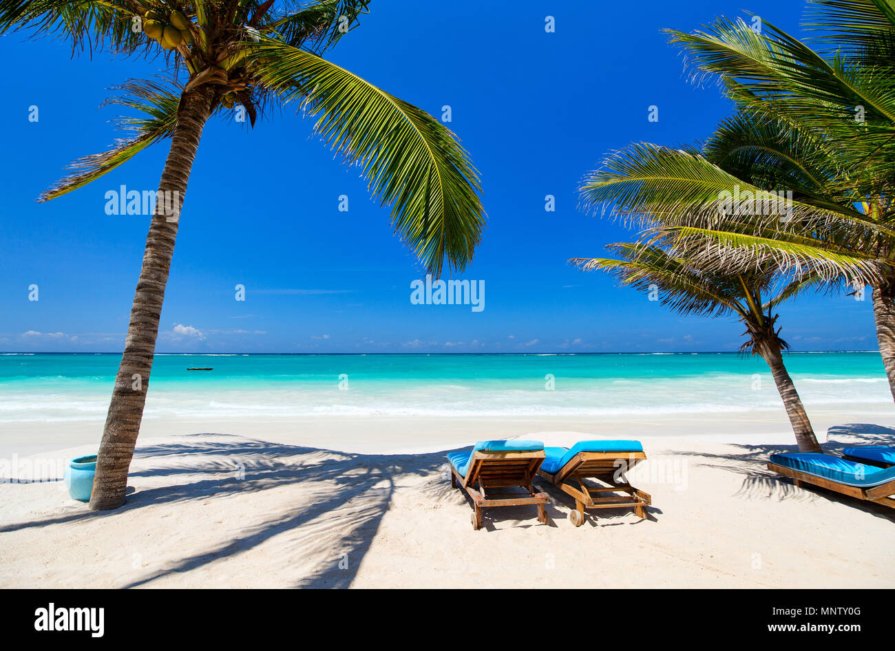 Lettini da spiaggia tra le palme a perfetto costa tropicale Foto Stock