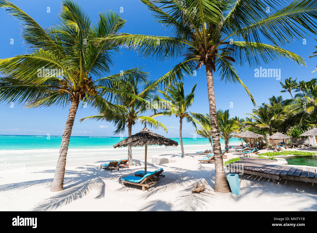 Lettini da spiaggia tra le palme a perfetto costa tropicale Foto Stock