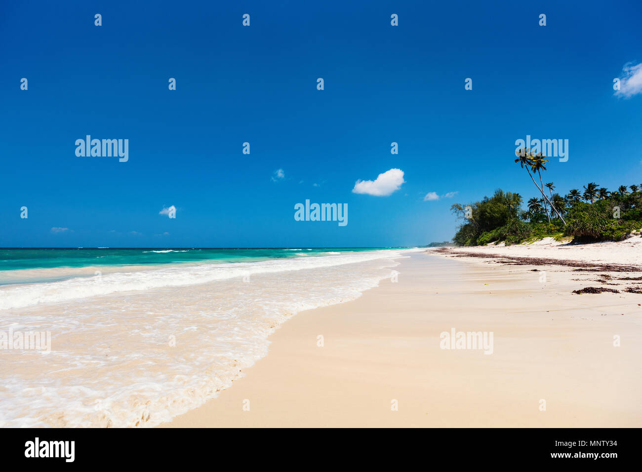 Foto orizzontale di bella sabbia bianca spiaggia esotica in Kenya Africa Foto Stock