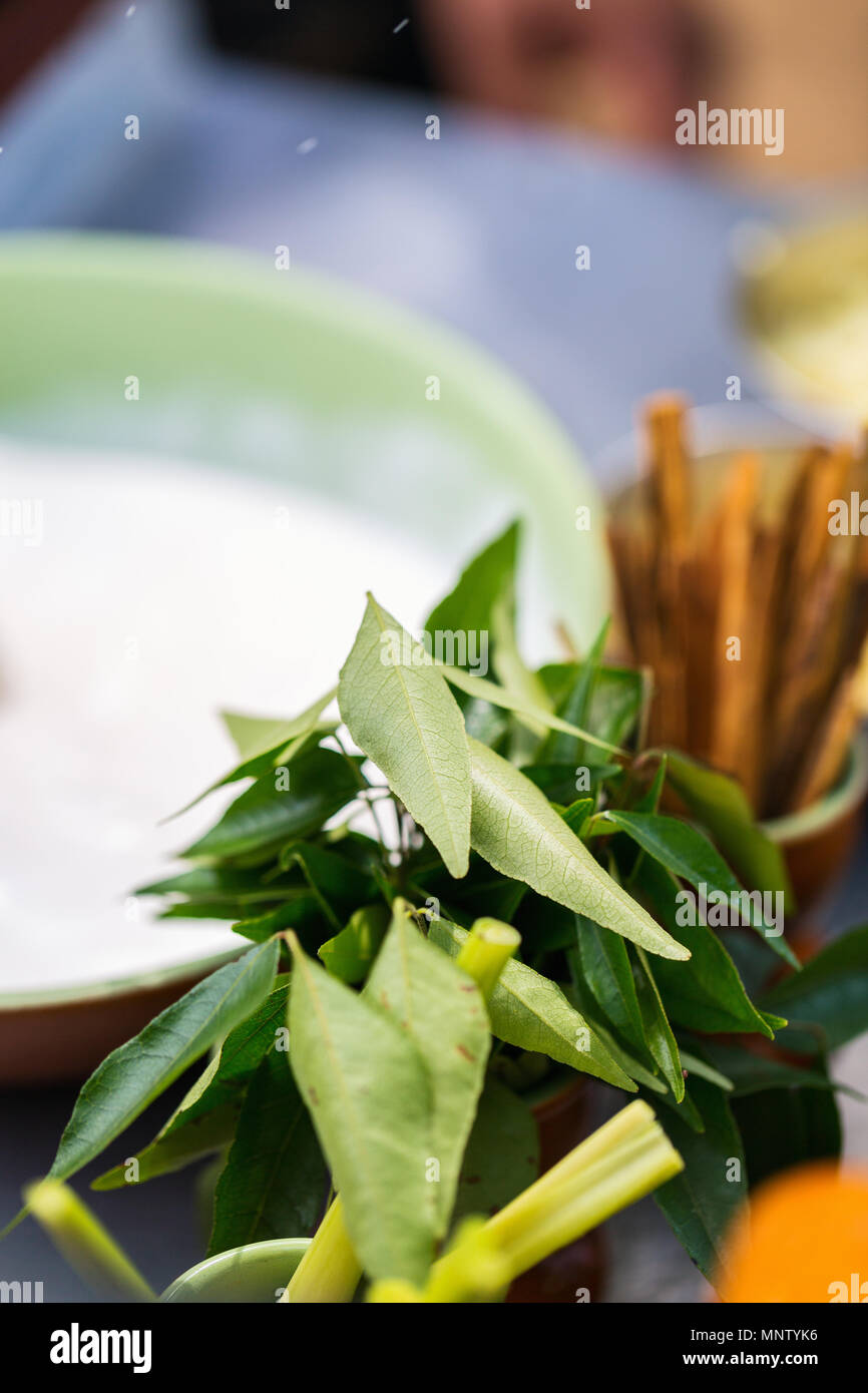 Foglie di curry e latte di cocco di cottura Ingredienti per la realizzazione di curry Foto Stock