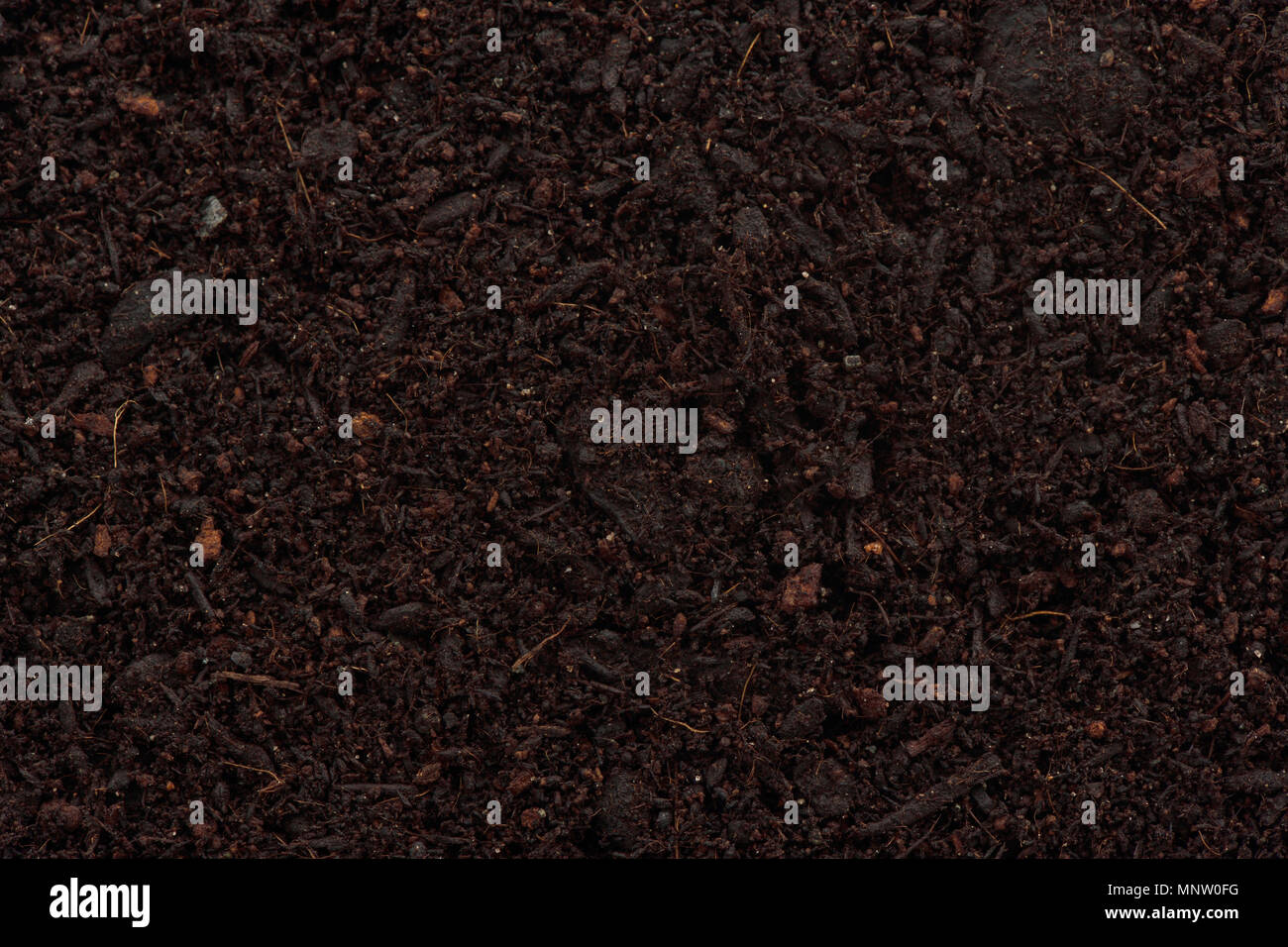 Organic potting Soil miscela arricchita con il compost abstract texture di sfondo closeup di particelle Foto Stock