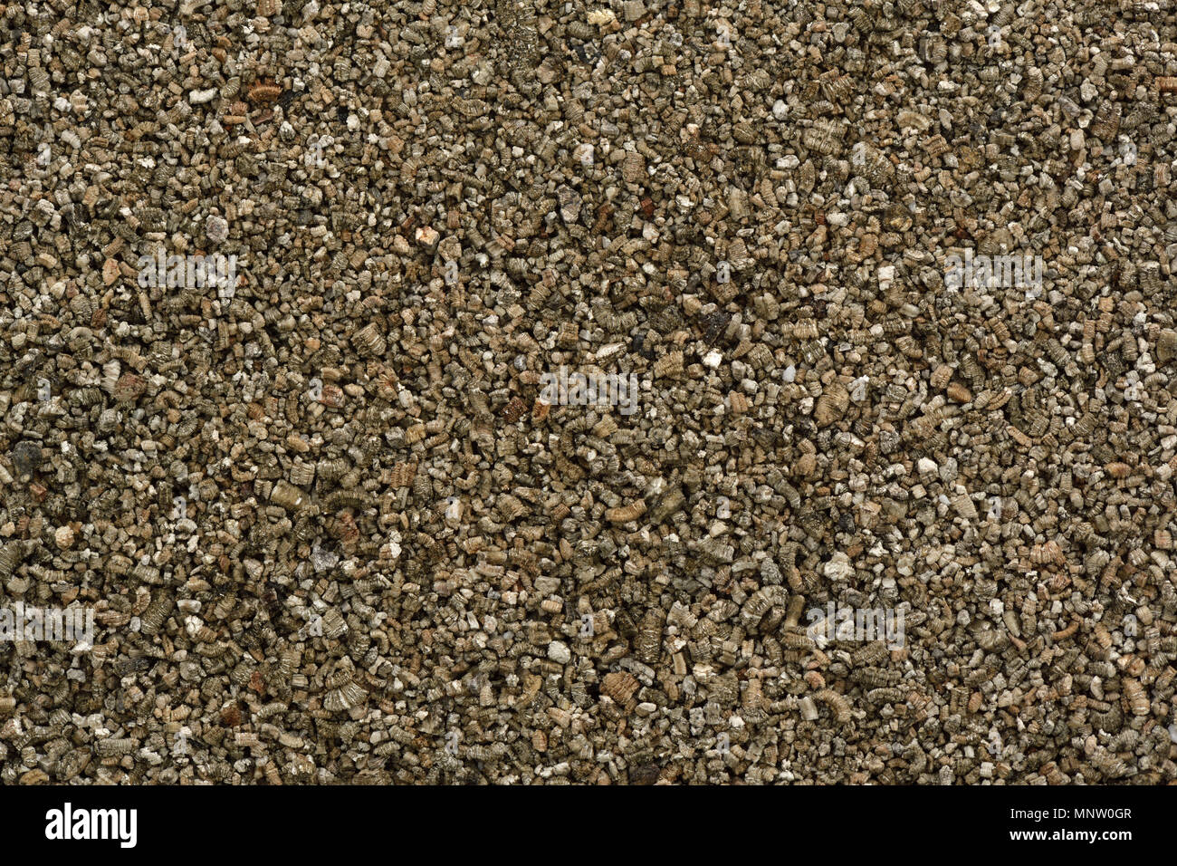 Particelle Vermiculite, modifica del suolo minerale utilizzato in orticoltura e giardinaggio. Primo piano sullo sfondo di texture. Foto Stock