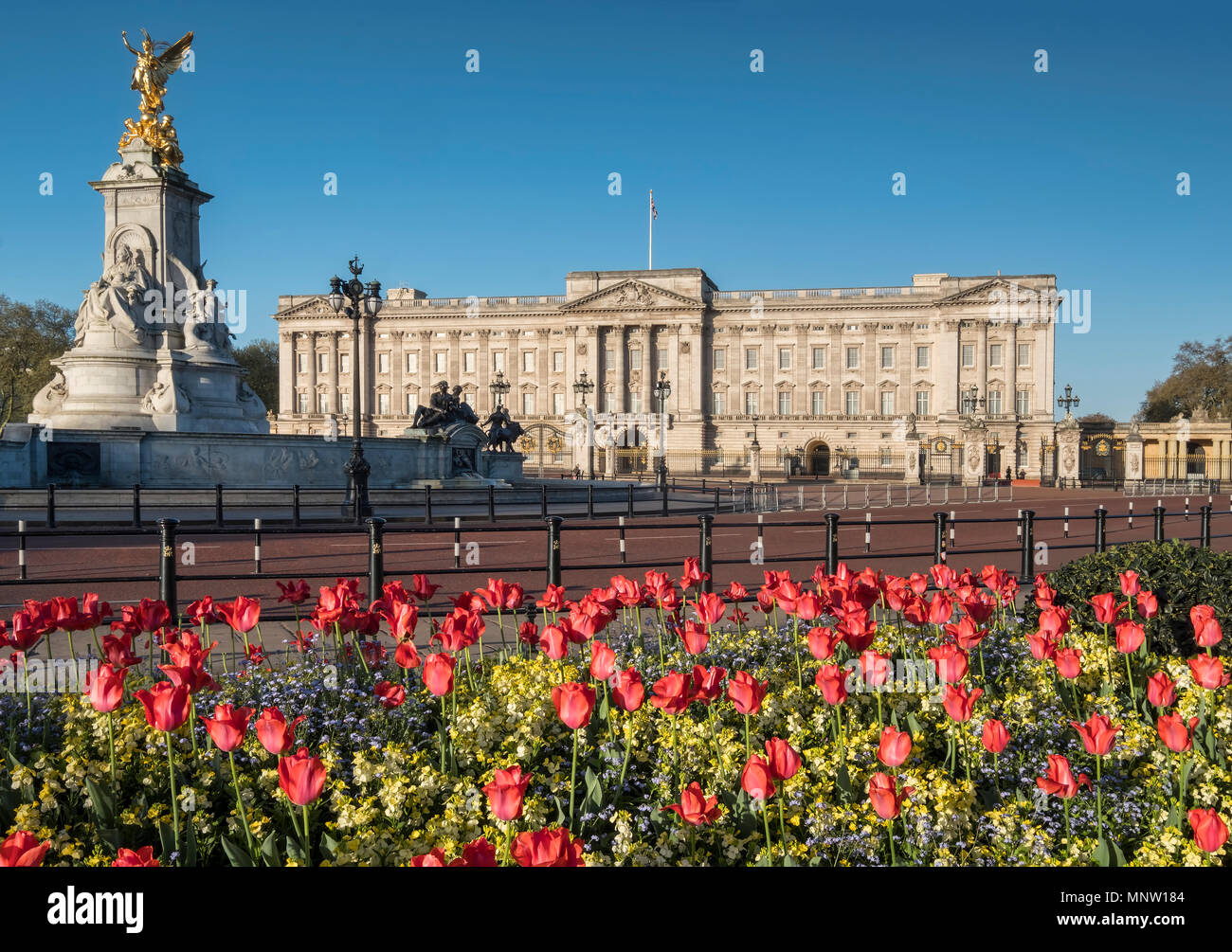 Buckingham Palace e il Victoria Memorial in primavera, London, England, Regno Unito Foto Stock