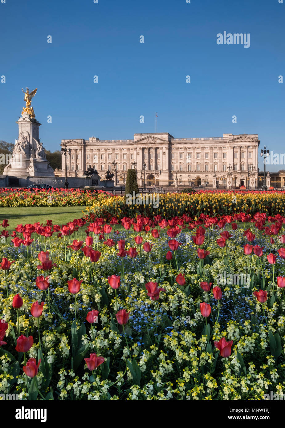 Buckingham Palace si trova a molla, London, England, Regno Unito Foto Stock