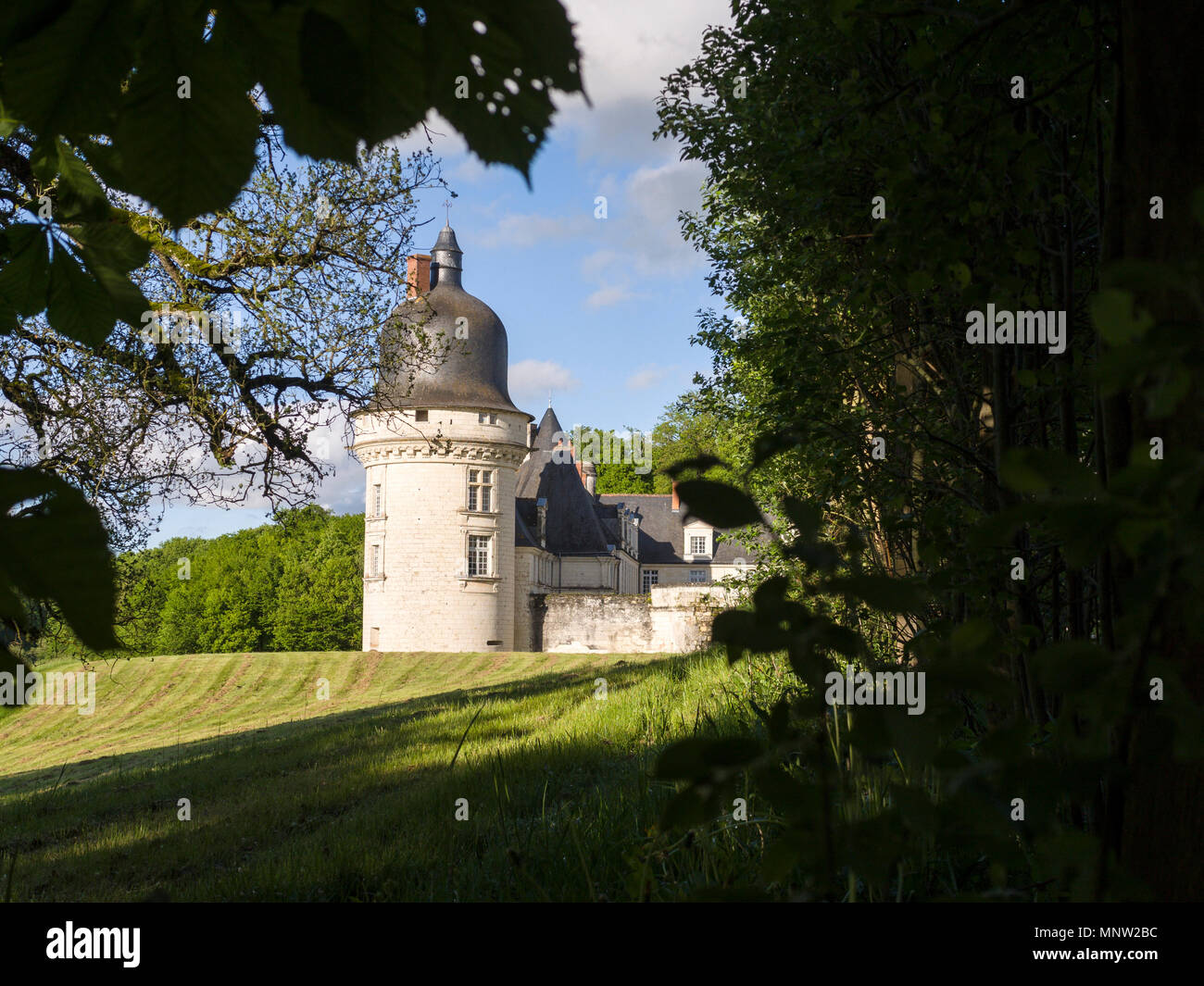 Torre esterna particolare del Chateau du Gue-Pean: Questo ben conservato castello nella regione della Loira di Francia è circondato da un fiorente allevamento di cavalli. Foto Stock