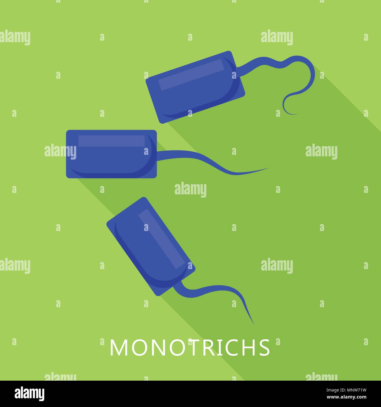 Icona Monotrichs, stile piatto Illustrazione Vettoriale