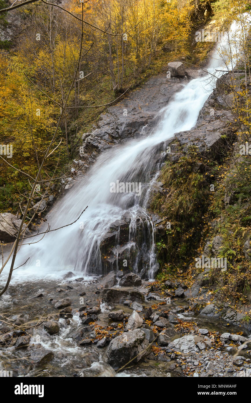 La cascata nel bosco Foto Stock