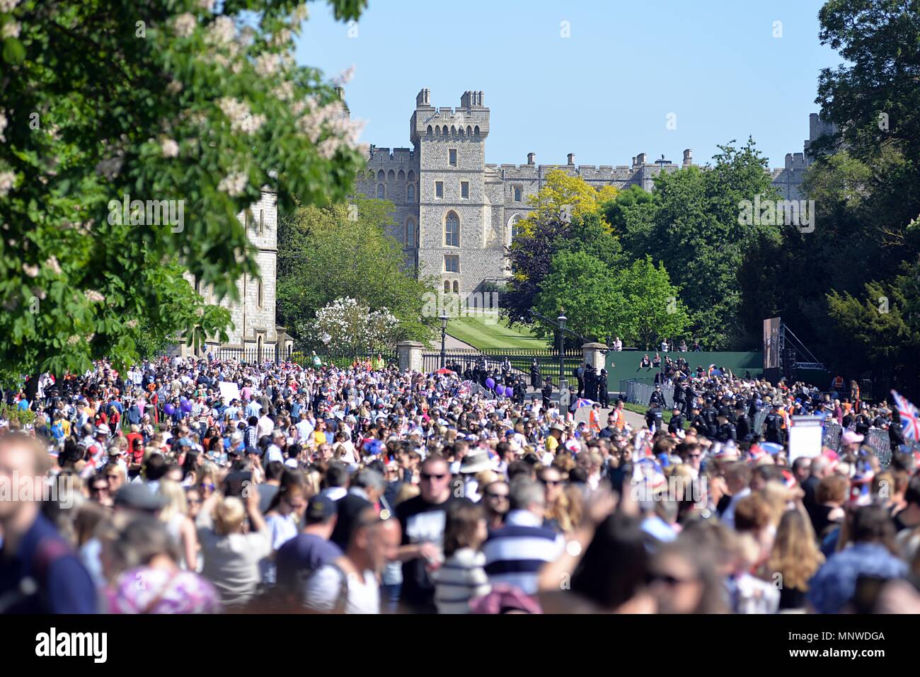 Windsor, Regno Unito. Il 20 maggio 2018. La folla si riuniscono a Windsor lunga passeggiata per le nozze reali del principe Harry e Meghan Markle, 19 maggio 2018. Credito: Caron Watson/Alamy Live News Foto Stock