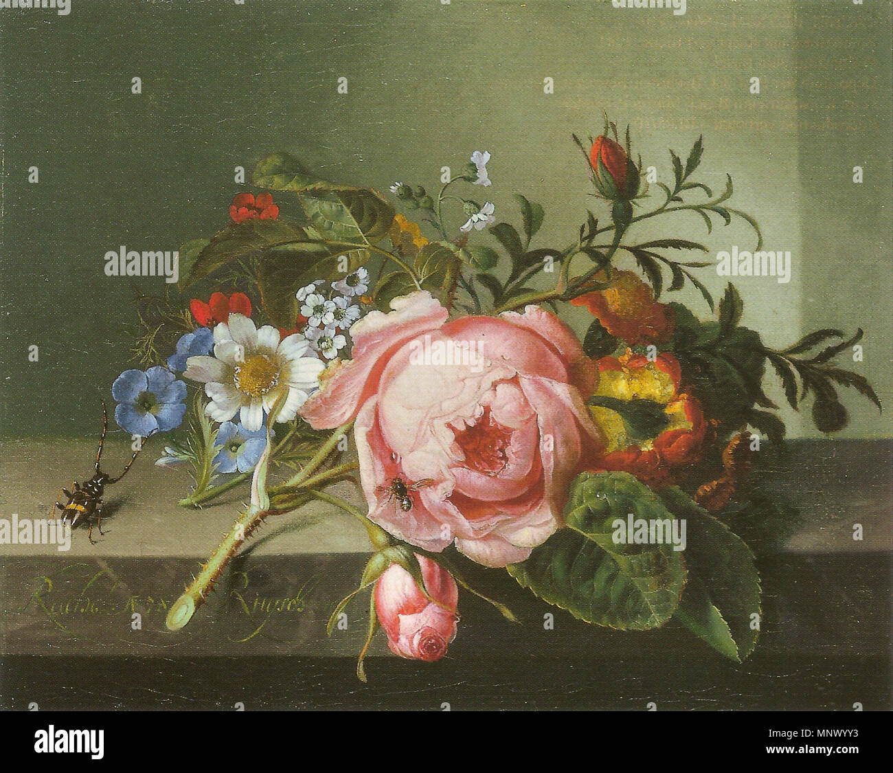 1080 Ruysch, Rachele - Rosenzweig mit Käfer und Biene - 1741 Foto Stock