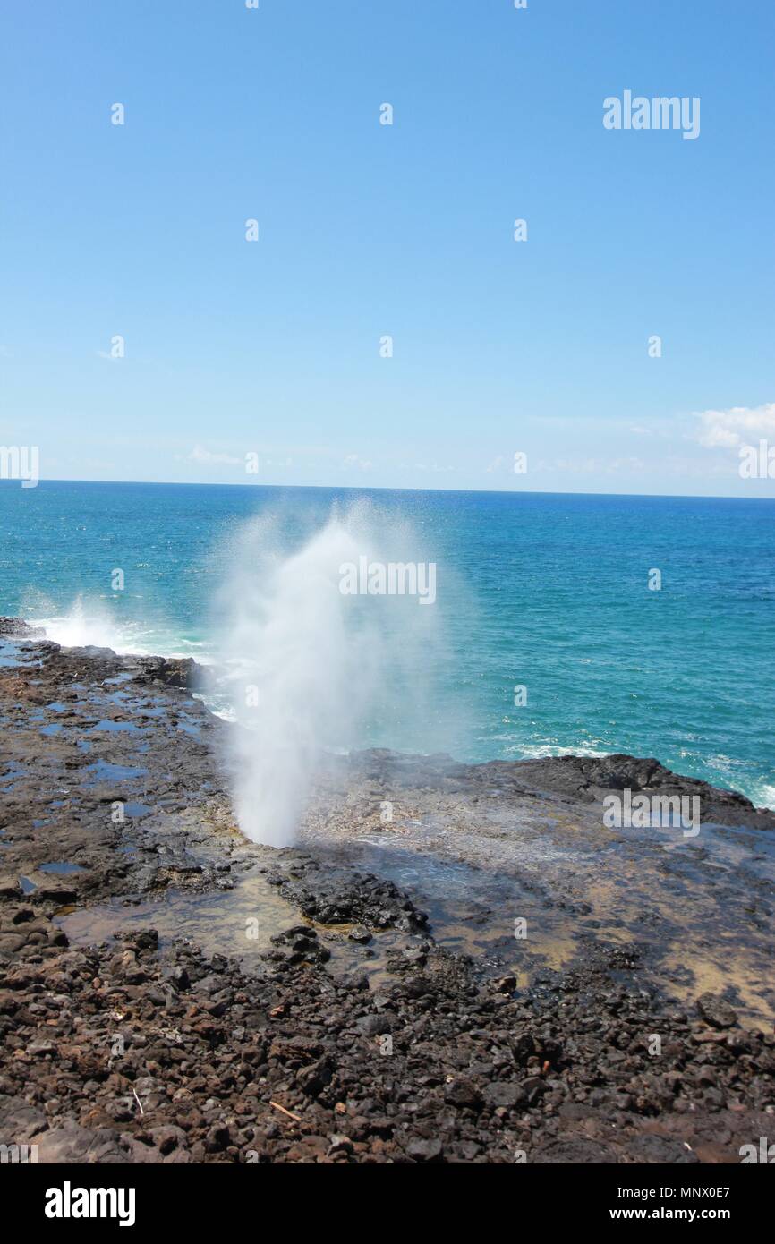 Di Spouting Horn è disattivata sulla costa meridionale di Kauai nel distretto di Koloa ed è noto per le sue onde che si infrangono e grandi spruzzi di acqua. Foto Stock