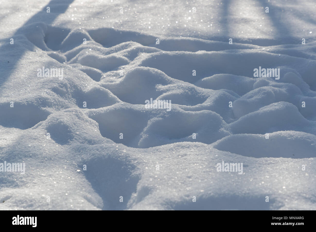 Calpestato il bianco della neve nelle ore diurne Foto Stock